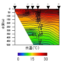 $$摜$$