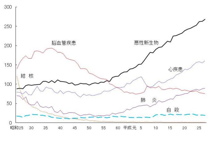主な死因の死亡率(人口10万対)の年次推移
