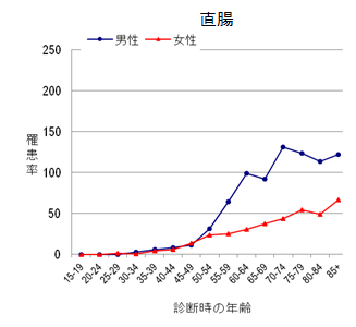 直腸のグラフ