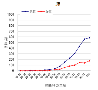 肺のグラフ